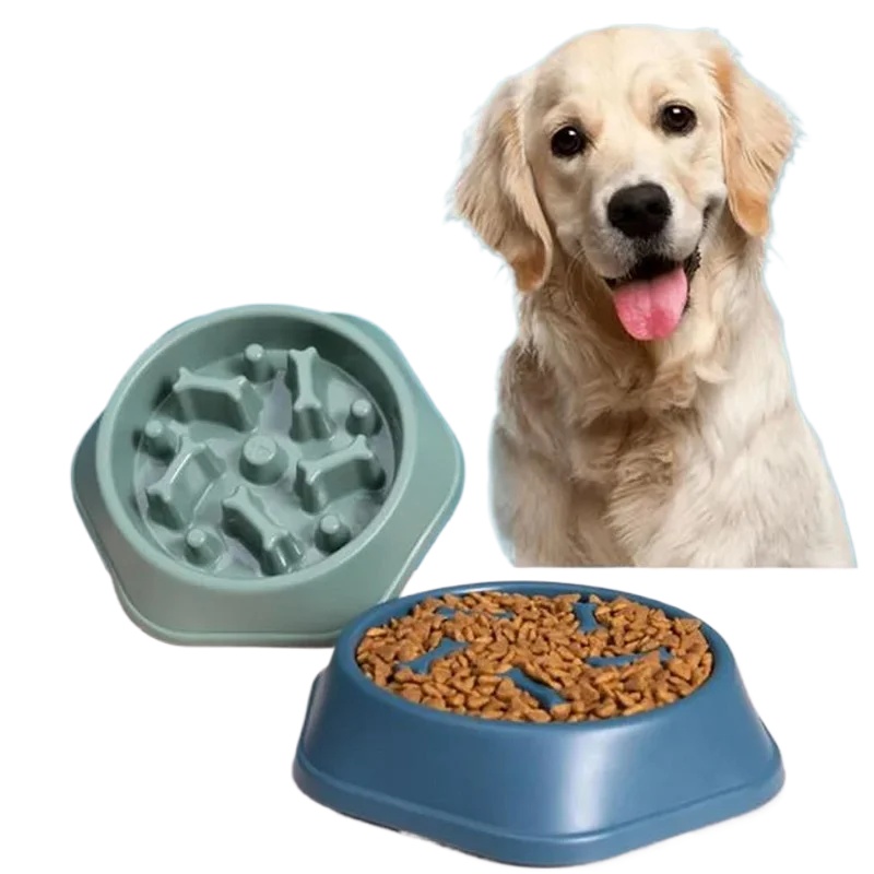 Langsamfütterungs-Napf für Hun – Royal Canin Food Medium Bewertung und Preis