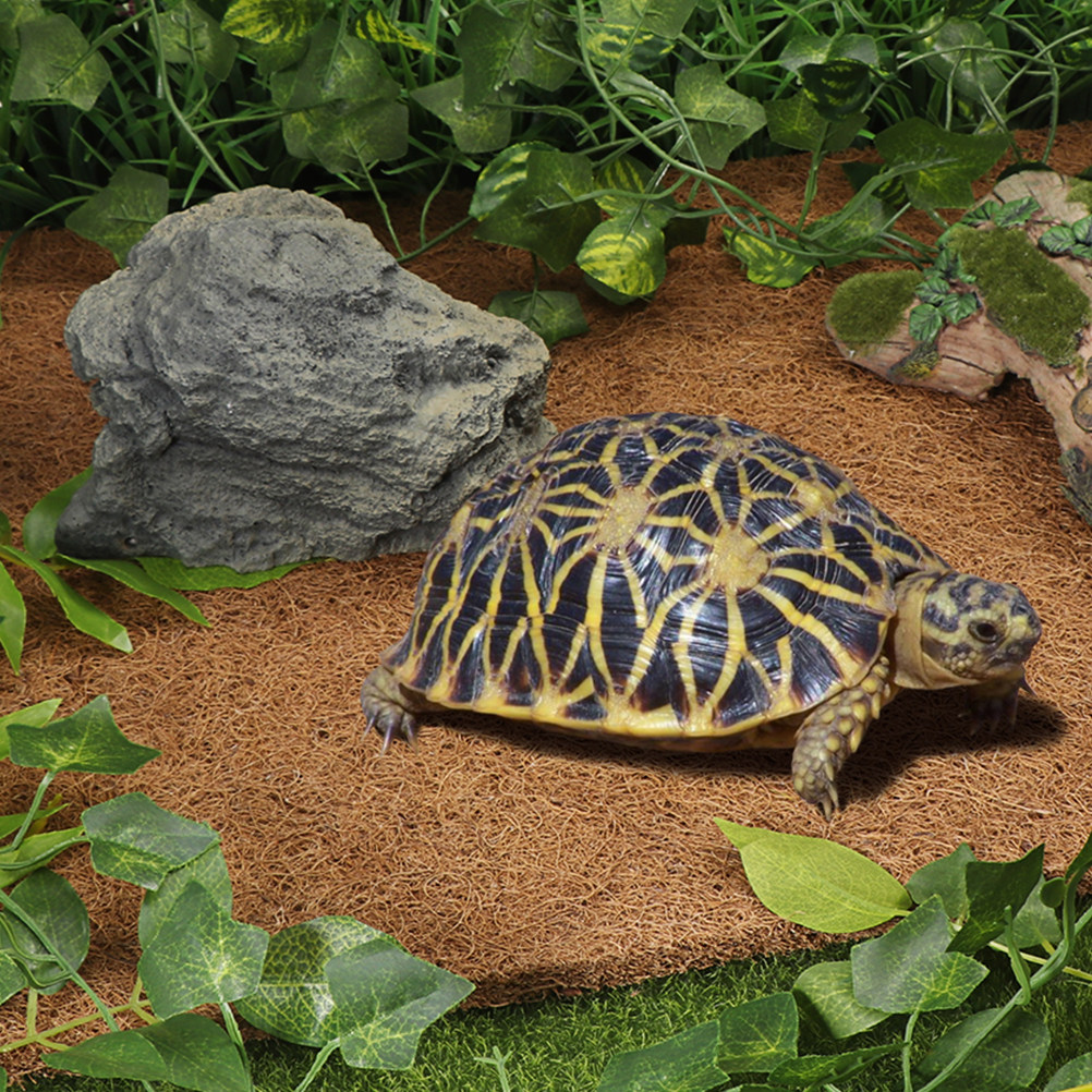 Reptilien-Substrat-Teppich aus – Substrate Coconut Fiber Bewertung und Preis
