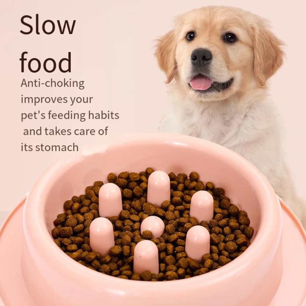 Langsamfressnapf für Hunde, ru – Royal Canin Food Medium Bewertung und Preis