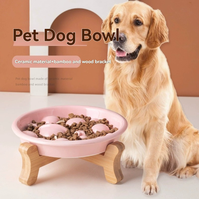 Keramik-Planeten-Slow-Feeder-H – Royal Canin Food Medium Bewertung und Preis